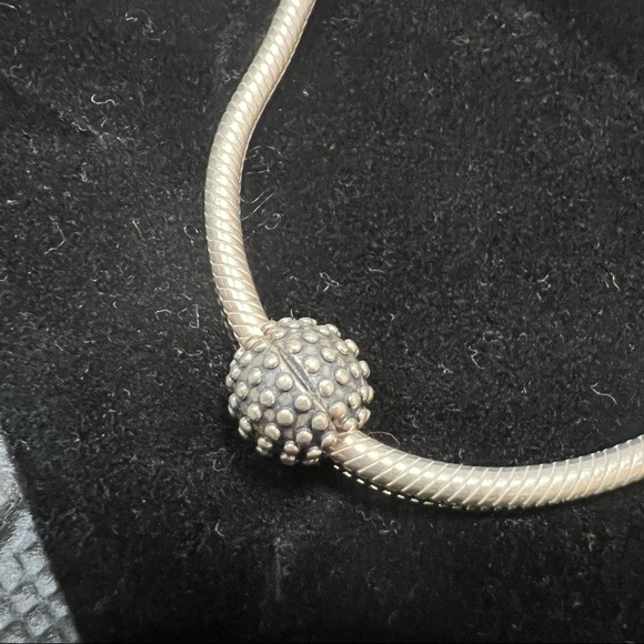 PANDORA | Starter Bracelet + 2 Clip-on Charms - Picture 4 of 4